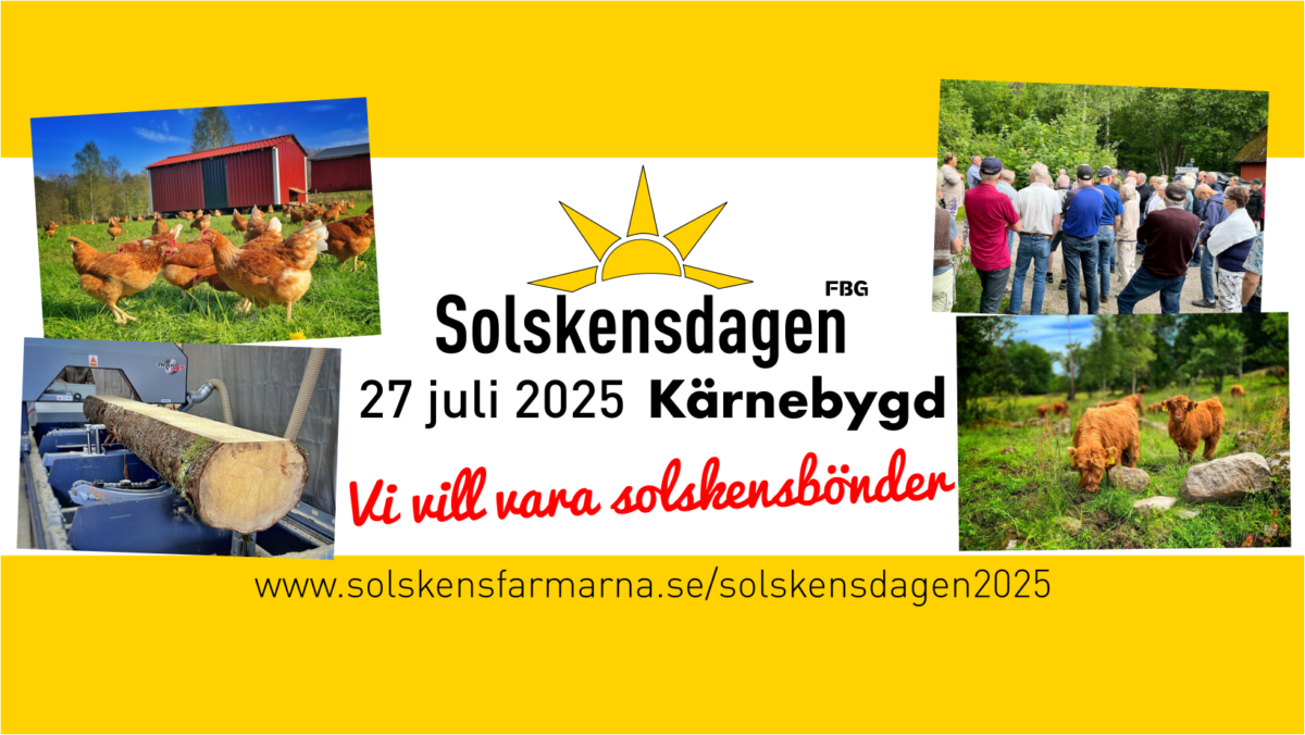 Solskensdagen 27 juli 2025